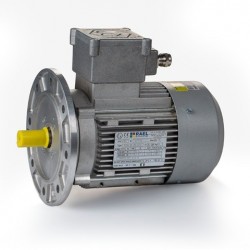 Motor eléctrico trifásico ATEX antiexplosivos, carcasa aluminio, 0.06kW/0.09CV, 3000 rpm, 56B5 (ØEje motor 9 mm, ØBrida 120 mm) 220/380V, IP66 IE1, Zona 21