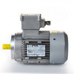 Motor eléctrico trifásico ATEX antiexplosivos, carcasa aluminio, 0.09kW/0.12CV, 3000 rpm, 56B14 (ØEje motor 9 mm, ØBrida 80 mm) 220/380V, IP66 IE1, Zona 21