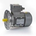 Motor eléctrico trifásico ATEX antiexplosivos, carcasa aluminio, 0.12kW/0.17CV, 3000 rpm, 56B5 (ØEje motor 9 mm, ØBrida 120 mm) 220/380V, IP66 IE1, Zona 21