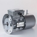 Motor eléctrico trifásico con freno Cemer 71B5 (ØEje motor 14 mm, ØBrida 160 mm), 3000 rpm, 220/380V, 0.55kW/0.75CV, IP54, Alta Eficiencia, tensión freno 220/380V (ca)