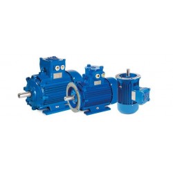 Motor eléctrico trifásico ATEX antideflagrante, carcasa fundición, 0.25kW/0.33CV, 3000 rpm, 63B3 (ØEje motor 11 mm) 220/380V, IP66, IE2, ZONA 21