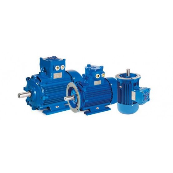 Motor eléctrico trifásico ATEX antideflagrante, carcasa fundición, 3kW/4CV, 3000 rpm, 100B14 (ØEje motor 28 mm, ØBrida 160 mm) 220/380V, IP66, IE3, ZONA 21