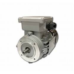 Motor eléctrico trifásico Rael 0.25kW/0.33CV, 1500 rpm, 63B14 (ØEje motor 11 mm, ØBrida 90 mm) 220/380V, IE1, IP55, Carcasa aluminio