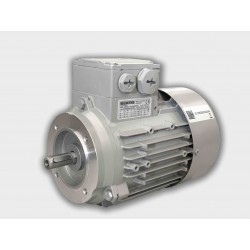 Motor eléctrico trifásico Siemens 0.75kW/1CV, 3000 rpm, 80B3 (ØEje motor 19 mm) 220/380V, IE3, IP55, Carcasa aluminio