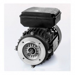 Motor eléctrico monofásico con condensador permanente 0.25kw/0.33CV, 1500 rpm, 71B14 (ØEje motor 14 mm, ØBrida 105 mm 220V, IP55, IE2