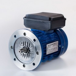 Motor eléctrico monofásico alto par de arranque 1.5kw/2CV, 220V, 3000 rpm, 90B5 (ØEje motor 24 mm, ØBrida 200 mm) 220V, IP55, IE1